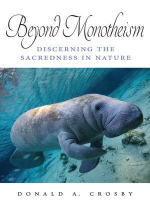 cover image of Beyond Monotheism